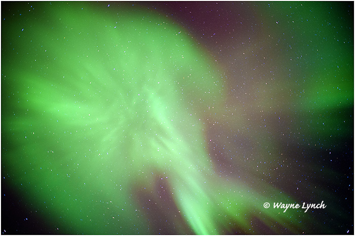 Aurora Borealis 46 by Dr. Wayne Lynch &copy;